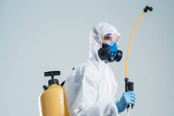 istock Specialist in a hazmat suit disinfecting with a spraying device 1329219853