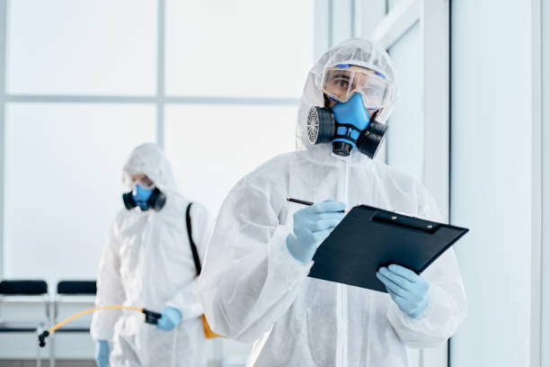 istock professional disinfector taking notes on the clipboard 1329219873