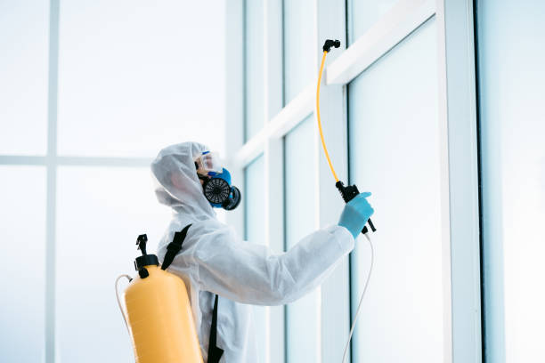 istock disinfector in a protective suit is spraying a disinfectant in the room 1329219907