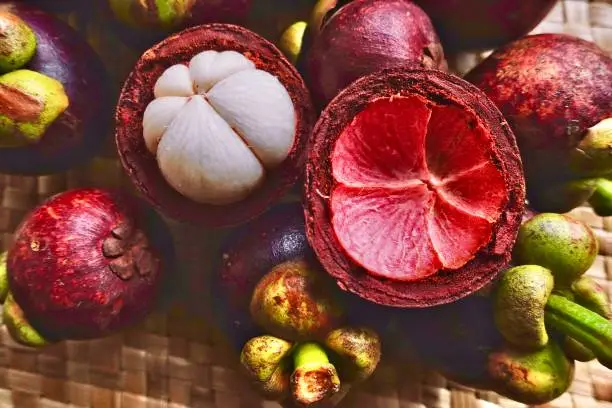 Mangosteen - a tropical fruit from Kerala, India