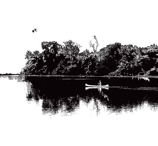 illustrazioni stock, clip art, cartoni animati e icone di tendenza di canoa su un lago tranquillo con osprey - canoeing