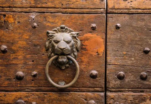 Photo of Lion at door