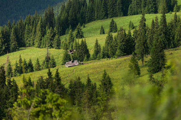 istock Wooden hut in mountain meadow 1329224835