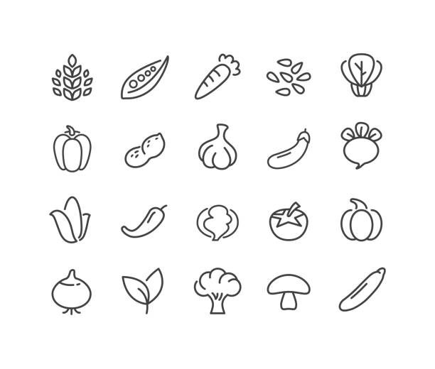 иконки овощей - серия классических линий - sesame stock illustrations