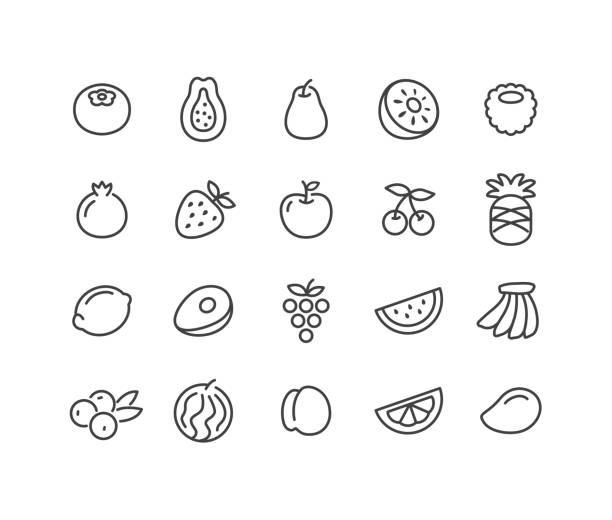 Fruit Icons - Classic Line Series Editable Stroke - Fruit - Line Icons strawberry salad stock illustrations