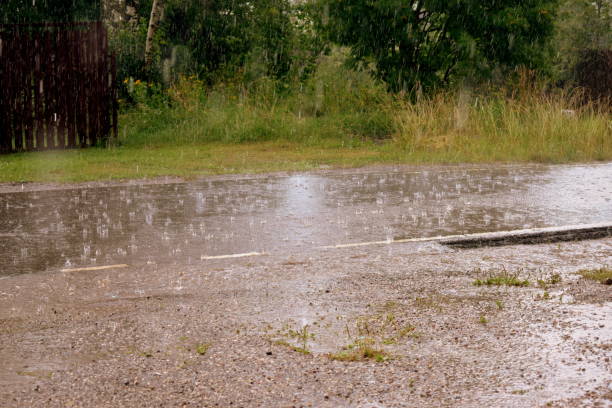 istock summer downpour on the asphalt road 1329229943
