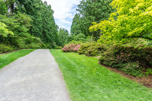 istock Seattle Garden Trail 10 1329231173