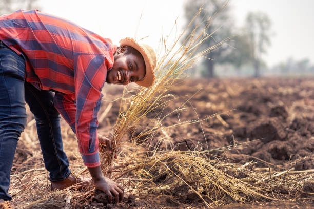 African farmer checking and preparing the soil for planting.Agriculture or cultivation concept stock photo