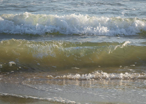 istock Colored sea waves with splashes and white breakers in Circeo park in Sabaudia in Italy 1329233832