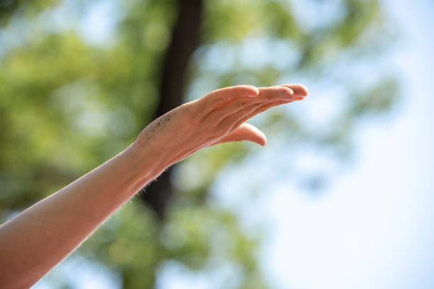 istock hands of people doing yoga on the beach 1329234969