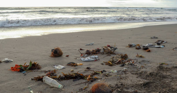 istock Scenic view of garbage on beach in Bali 1329242953