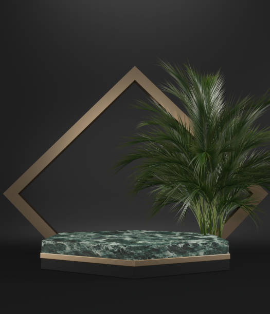 istock The Tropical granite Podium geometric and plants decoration on black background .3D rendering 1329245039