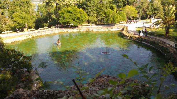 istock general view from green nature in the park 1329245296