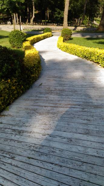 istock stone paved road in the park 1329247228