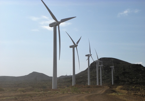 A few kilometers before arriving at Lake Turkana, we discover the largest wind farm in Africa which supplies 15% of Kenya's electricity. It enjoys this very windy place. Downside, electricity goes directly to Nairobi and is not distributed to the local populations.