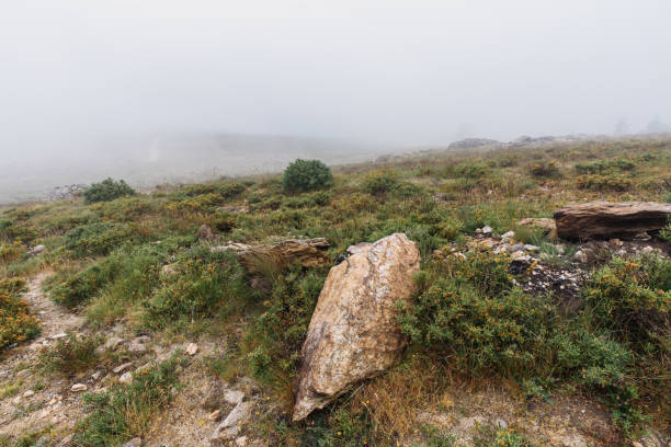 The photo was made in the Arouca park in Portugal, desert plateau at the notrth of the country. There was a fog, cloudy and dull weather.
