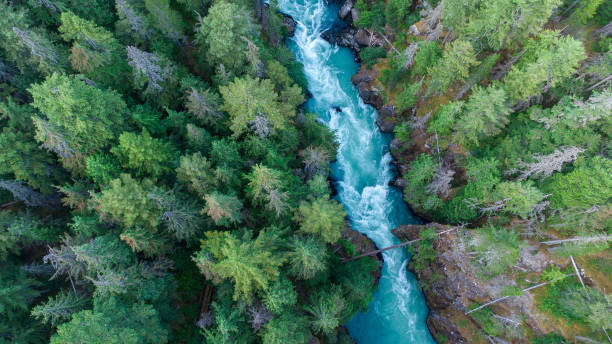 istock Aerial view of a river flowing through a temperate rainforest 1329251195
