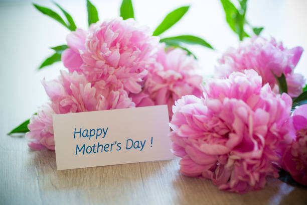 istock several branches of blooming pink peonies on a wooden table 1329251204