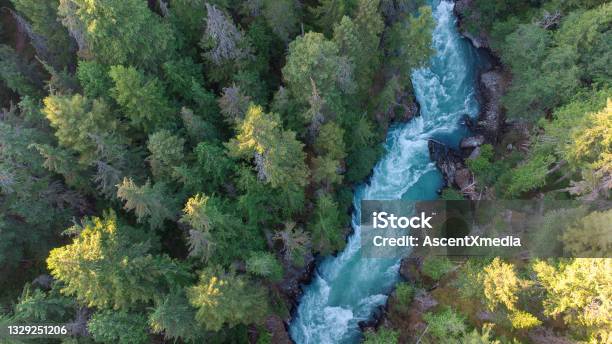 Aerial View Of A River Flowing Through A Temperate Rainforest Stock Photo - Download Image Now