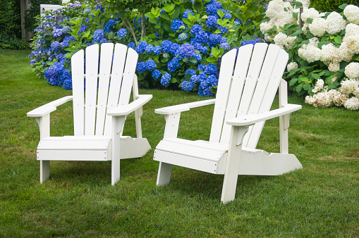 A pair of white Adirondack chairs rests on front yard grass in front of vibrant blue and white hydrangea bushes.