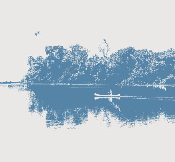 Line art vector of one person Canoeing on a tranquil lake with Osprey