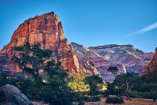 The natural beauty of the red rocks