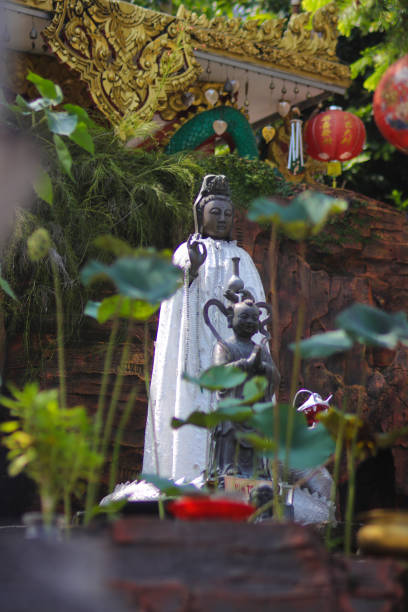 chinesische bodhisattva oder göttin des mitgefühls, der barmherzigkeit und freundlichkeit statue, auch bekannt als, guan yim oder dewi kwan im im thailand buddhismus schrein nam hai kwan se im pu sa vihara sukabumi, indonesien. - quan yin stock-fotos und bilder