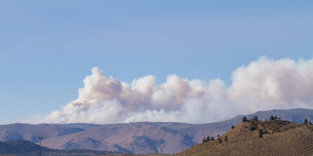istock Smoke rising from the Dexter fire in Mono county California 1329263499