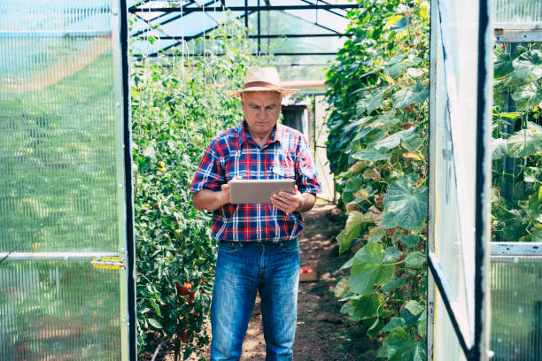 istock Farmer with digital tablet in Greenhouse. 1329263584