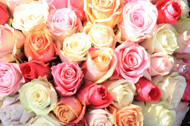 istock Pastel rose wedding flowers 1329268718