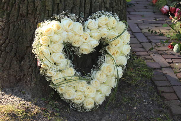 heart shaped sympathy flower arrangement, white roses stock photo