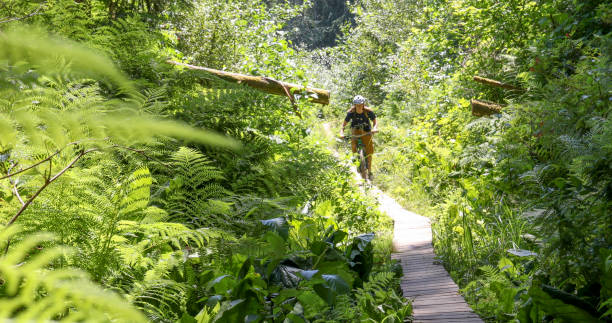 jovem mountain bikes através de exuberante floresta tropical - 5440 - fotografias e filmes do acervo