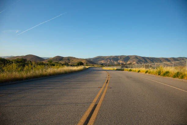 asphalt curving road with yellow center line leading to the mountains with tall golden grass on both sides. stock photo