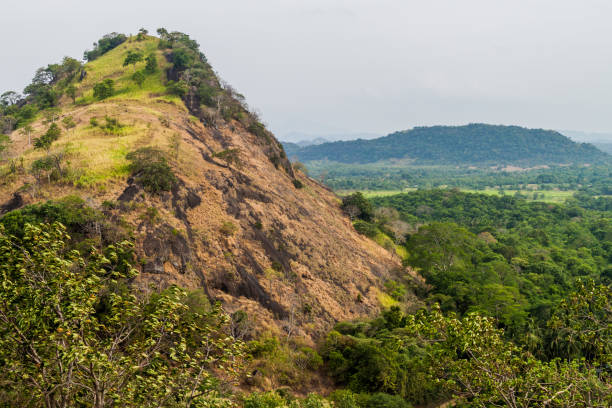 istock Landscape near Dambulla, Sri Lan 1329280044