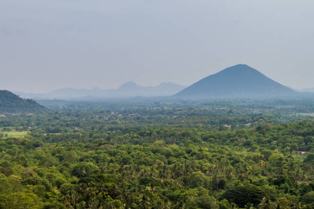 istock Landscape near Dambulla, Sri Lan 1329280054