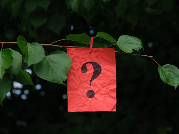 istock A red paper note with a question mark on it hanging of a tree branch with a clothespin 1329299411