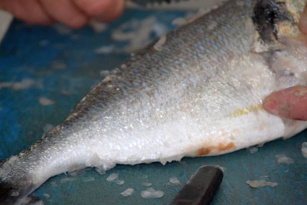 istock cleaning fish under water, preparation for barbecue 1329299594