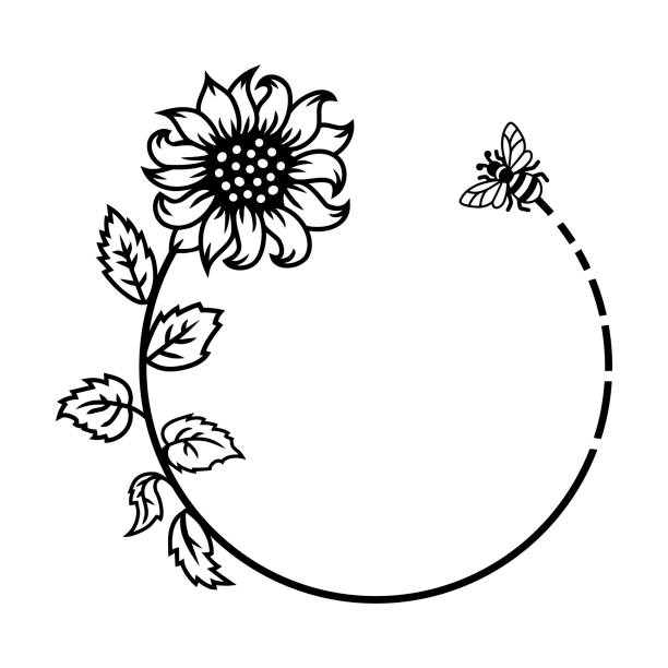 하얀 배경에 꿀벌이있는 해바라기 또는 데이지 꽃. 벡터 그림입니다. - sunflower nature environment environmental conservation stock illustrations