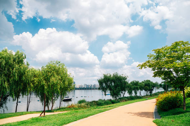 istock Yeouido Hangang River Park in Seoul, Korea 1329300701