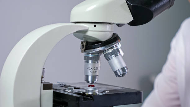 istock Employee with glasses takes blood drop with pipette in lab 1329301355