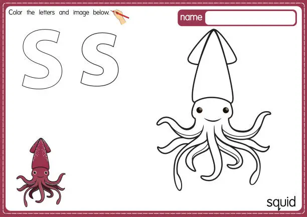 Vector illustration of Vector illustration of kids alphabet coloring book page with outlined clip art to color. Letter S for Squid.