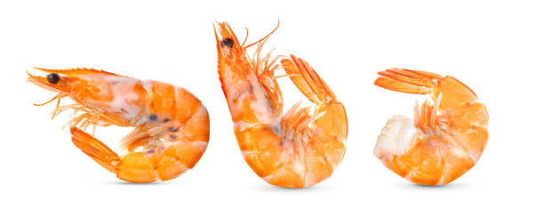istock Cooked shrimps on white background. 1329304223