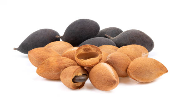 istock velvet tamarind fruit ( Dialium cochinchinense) isolated on white 1329304441