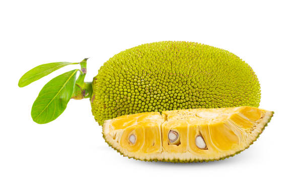 istock jack fruits on white background. full depth of field 1329304669