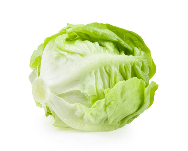 istock fresh baby cos (lettuce) on white 1329304807