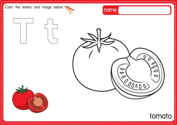 Vector illustration of Vector illustration of kids alphabet coloring book page with outlined clip art to color. Letter T for Tomato.