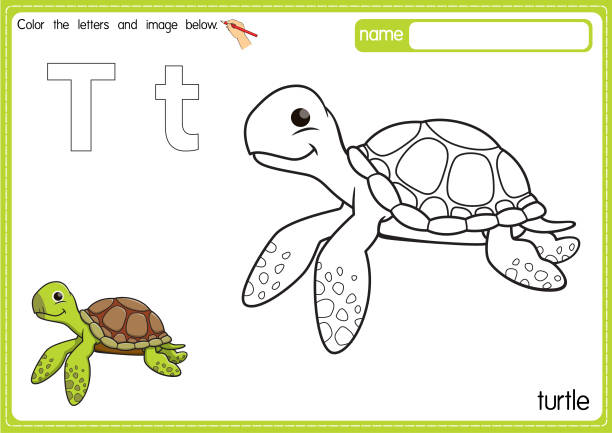 Vector Illustration Of Kids Alphabet Coloring Book Page With Outlined Clip  Art To Color Letter T For Turtle Stock Illustration - Download Image Now -  iStock