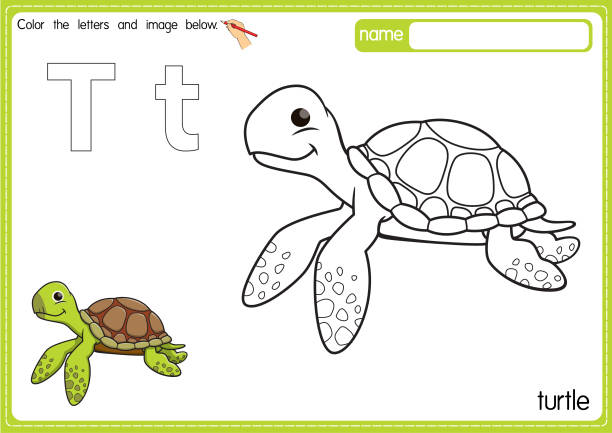 Vector Illustration Of Kids Alphabet Coloring Book Page With Outlined Clip Art To Color Letter T For Turtle Stock Illustration - Download Image Now - iStock Vector Illustration Of Kids Alphabet Coloring Book Page With Outlined Clip Art To Color Letter T For Turtle Stock Illustration - Download Image Now - iStock