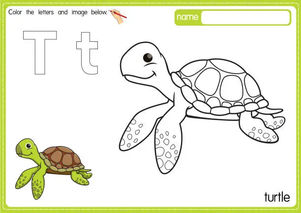 Vector illustration of Vector illustration of kids alphabet coloring book page with outlined clip art to color. Letter T for Turtle.