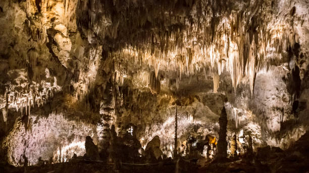 istock Carlsbad Caverns National Park New Mexico 1329306511